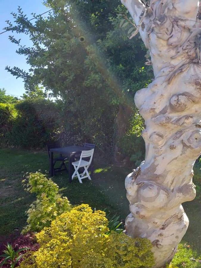 Hotel Chez Michel Et Michele Calan Esterno foto